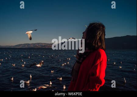 Un touriste pose pour des photos avec un troupeau de mouettes survolant le Lac Erhai ou er dans la préfecture autonome Bai de Dali, du sud-ouest de la Chine Yu Banque D'Images