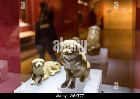 Voir des reliques de l'afficheur pendant l'exposition de "Lucky Dog" au Musée de Nanjing à Nanjing, Jiangsu province de Chine orientale, 5 Ja Banque D'Images