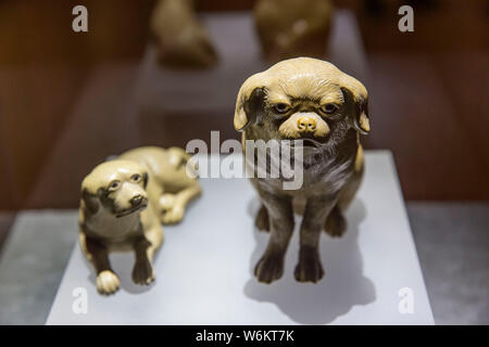 Voir des reliques de l'afficheur pendant l'exposition de "Lucky Dog" au Musée de Nanjing à Nanjing, Jiangsu province de Chine orientale, 5 Ja Banque D'Images