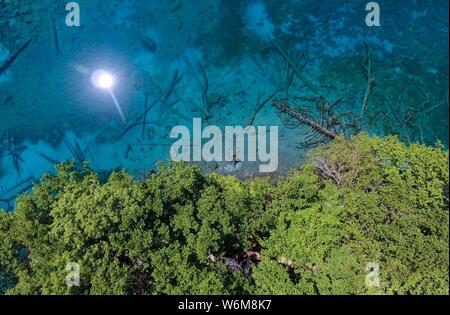 (190802) -- BEIJING, 2 août 2019 (Xinhua) -- photo aérienne montre la vue du lac Wuhuahai Jiuzhaigou dans le parc national dans le sud-ouest de la province chinoise du Sichuan, le 5 juin 2019. Situé dans le sud-ouest de la Chine, Shanghai est une province offrant diverses ressources biologiques et des paysages. Le Sichuan est souvent surnommé 'grand panda capitale du monde", plus de 70  % des pandas sauvages vivent dans la province. Pour faire l'évaluation de l'espèce de l'extinction, les autorités ont mis en œuvre des mesures pour protéger et restaurer les habitats, ainsi que de développer et construire des réserves naturelles et bre Banque D'Images