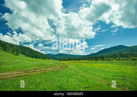 L'Altaï montagne. Katyn Chuisky valley Banque D'Images