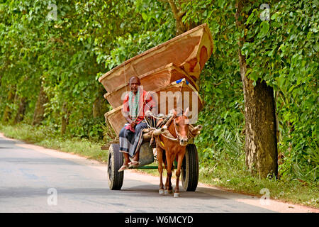 (190802) -- BEIJING, 2 août 2019 (Xinhua) -- un homme monte un chariot transportant des bateaux à vendre à un marché dans le centre du district de Manikganj Bangladesh le 31 juillet 2019. Transport de l'eau est encore un moyen important de communication au Bangladesh où des bateaux traditionnels et des petits bateaux sont encore utilisés pour fournir le transport bon marché et pratique. (Str/AFP) Banque D'Images