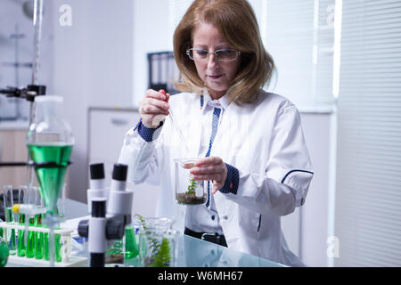 Femme mature scientist pouring une solution sur un terrain pour l'agriculture la santé. Recherche sur les plantes. Banque D'Images