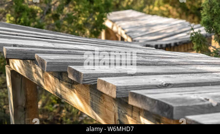 Panorama Close up d'un pont dans la forêt entouré par des arbres verts Banque D'Images