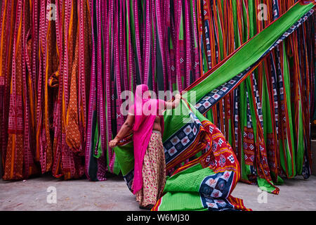 L'Inde, Rajasthan, Sari, usine textile sont séchés à l'air libre. La collecte des textiles à sec sont pliées par les femmes Banque D'Images