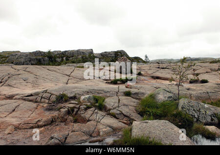 Les roches de granit et les montagnes sur la route de la falaise Preikestolen à fjord Lysefjord - Norvège - nature et voyage d'arrière-plan. Locations de concept. Banque D'Images