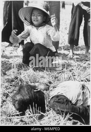 Tuy Hoa : quinze civils ont été tués dans l'explosion d'une mine Viet Cong fait maison sur une route de campagne. La plupart des victimes étaient à bord d'un tricycle Lambretta qui a frappé la mine et était déchiré par l'explosion., ca. 1966 ; notes générales : utilisation de la guerre et des conflits Nombre 426 lors de la commande d'une reproduction ou demande d'informations sur cette image. Banque D'Images