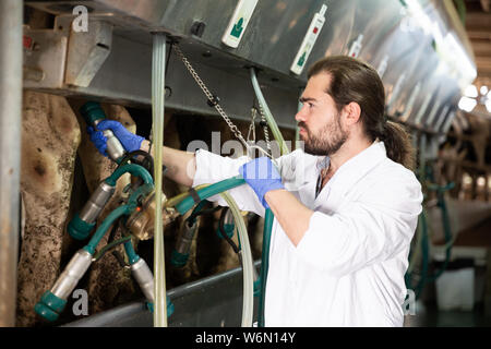 Ferme laitière en peignoir homme travaillant avec les machines à traire la vache automatique Banque D'Images