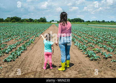 Femme et enfant sur la plantation de choux. Concept de l'agriculture avec les agriculteurs de la mère et de l'enfant. Banque D'Images