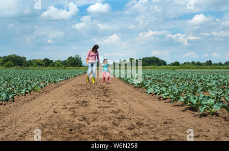 Femme et enfant sur la plantation de choux. Concept de l'agriculture avec les agriculteurs de la mère et de l'enfant. Banque D'Images