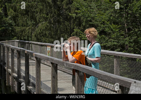 Garçon regardant à travers des jumelles alors que mère est à regarder sur Tree Top walk-, Grafenau, Parc National, Bayerischer Wald, Bavière, Allemagne Banque D'Images