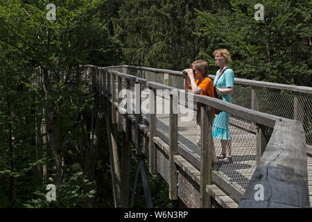 Garçon regardant à travers des jumelles alors que mère est à regarder sur Tree Top walk-, Grafenau, Parc National, Bayerischer Wald, Bavière, Allemagne Banque D'Images