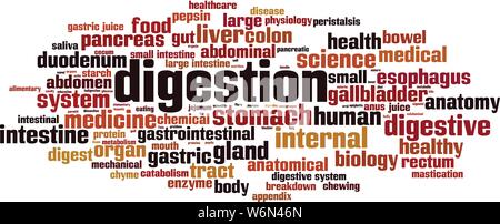 Mot de digestion concept cloud. Collage de mots à propos de la digestion. Vector illustration Illustration de Vecteur