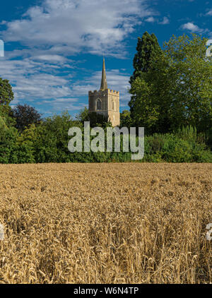 Photographie de paysage clocher d'église à travers les arbres au loin avec champ de blé à l'avant Banque D'Images