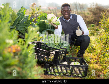 Portrait d'Afro-Américain up, satisfait de la récolte des choux-fleurs cultivés à son exploitation Banque D'Images