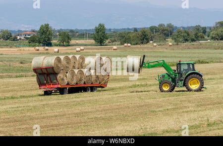 Travaux d'été dans les domaines de la campagne toscane, dans la province de Pise, Toscane, Italie Banque D'Images