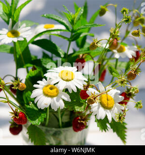 Branches de fraise mûre, rouge, blanc les marguerites et les feuilles de menthe dans un verre d'eau sur un moignon de bois dans le contexte de l'herbe verte Banque D'Images