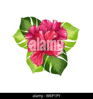 Plateau d'un bandeau ou d'un card carte avec Hawaiian Hibiscus Fleur parfum rouge. Feuilles vert vif Vector Toile de conception d'impression d'emballage de thé. Kark Tropical Illustration de Vecteur