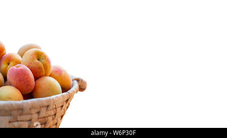 Les abricots frais mûrs sur le panier avec un fond blanc pour les concepteurs Banque D'Images