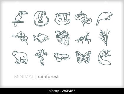 Ensemble de 15 animaux de la forêt tropicale, bug et icônes de l'usine Illustration de Vecteur