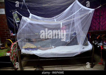 La dengue les patients couverts de moustiquaires qui souffrent de fièvre dengue reste dans le 'Shaheed Suhrawardy' collègue médical Hôpital de Dhak Banque D'Images