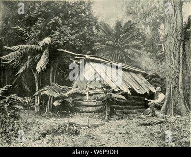 'Bush Hut, Dandenong Ranges, Victoria, 1901. Après l'établissement des Européens dans la région, la gamme a été utilisé comme une source importante de bois pour Melbourne. À partir de "l'Australie fédérée". [La société Werner, Londres, 1901] Banque D'Images