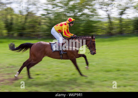 GODSTONE, Surrey/UK - 2 mai : course de point à point à Godstone Surrey le 2 mai 2009. Homme non identifié Banque D'Images