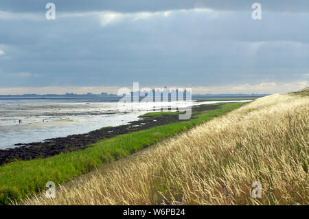 Un grand récipient navire sur le Westerschelde à marée basse derrière la digue en Zélande, Pays-Bas Banque D'Images