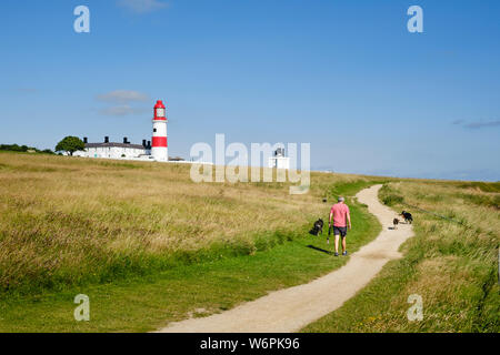 Man Walking dogs on the South Tyneside Heritage Trail un sentier côtier entre South Shields et Sunderland passant Souter Lighthouse Banque D'Images