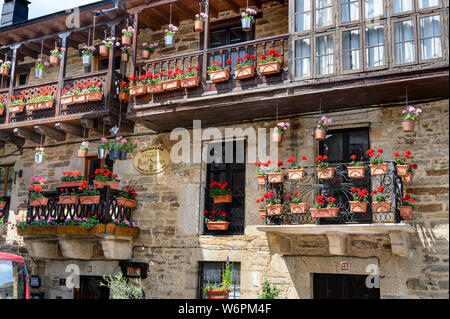 Les pots de fleurs ornant la façade d'une maison à Puebla de Sanabria, Zamora Province, Castilla y Leon, Espagne. Banque D'Images