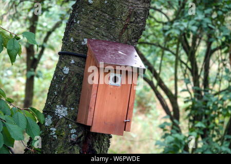 Birdhouse pour les petits oiseaux chanteurs sur un tronc d'arbre dans le jardin boisé buissonneux scène de lieu Banque D'Images