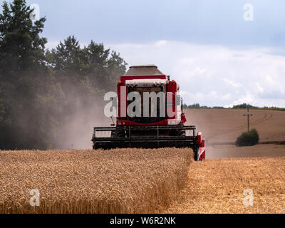 La récolte de blé commence en grand Bardfield Essex UK. Cette période de l'année est un moment pour les agriculteurs comme le blé doivent être récoltées avant la pluie abîme. Banque D'Images