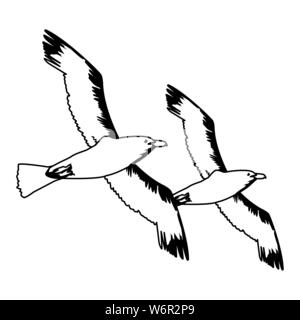 Mouettes oiseaux volant caricature en noir et blanc Illustration de Vecteur