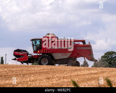 La récolte de blé commence en grand Bardfield Essex UK. Cette période de l'année est un moment pour les agriculteurs comme le blé doivent être récoltées avant la pluie abîme. Banque D'Images