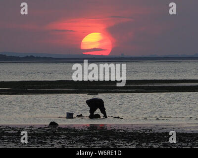 Sheerness, Kent, UK. 2 Août, 2019. Météo France : le coucher du soleil ce soir à Sheerness, Kent. Credit : James Bell/Alamy Live News Banque D'Images