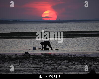 Sheerness, Kent, UK. 2 Août, 2019. Météo France : le coucher du soleil ce soir à Sheerness, Kent. Credit : James Bell/Alamy Live News Banque D'Images