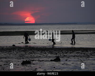 Sheerness, Kent, UK. 2 Août, 2019. Météo France : le coucher du soleil ce soir à Sheerness, Kent. Credit : James Bell/Alamy Live News Banque D'Images