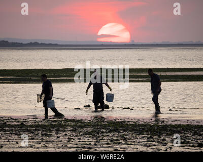 Sheerness, Kent, UK. 2 Août, 2019. Météo France : le coucher du soleil ce soir à Sheerness, Kent. Credit : James Bell/Alamy Live News Banque D'Images