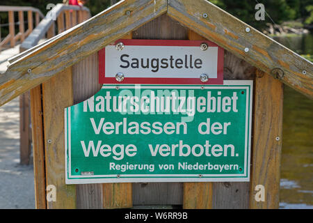 Interdiction signe, Grand lac Arber, Bayerisch Eisenstein, forêt de Bavière, Bavière, Allemagne Banque D'Images