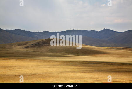 Paysage près de Tsonjin Boldog. La Mongolie Banque D'Images