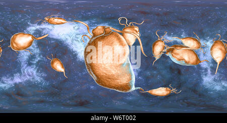 Trichomonas vaginalis, vue panoramique de 360 degrés, l'illustration de l'ordinateur. Trichomonas vaginalis est un parasite d'un micro-organisme qui est l'agent causal de la trichomonase. La trichomonase est une cause commune de la vaginite et est une maladie transmise sexuellement. Banque D'Images