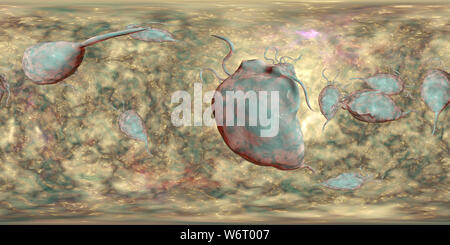 Trichomonas vaginalis, vue panoramique de 360 degrés, l'illustration de l'ordinateur. Trichomonas vaginalis est un parasite d'un micro-organisme qui est l'agent causal de la trichomonase. La trichomonase est une cause commune de la vaginite et est une maladie transmise sexuellement. Banque D'Images