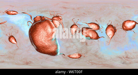 Trichomonas vaginalis, vue panoramique de 360 degrés, l'illustration de l'ordinateur. Trichomonas vaginalis est un parasite d'un micro-organisme qui est l'agent causal de la trichomonase. La trichomonase est une cause commune de la vaginite et est une maladie transmise sexuellement. Banque D'Images