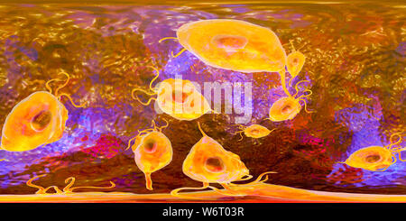 Trichomonas vaginalis, vue panoramique de 360 degrés, l'illustration de l'ordinateur. Trichomonas vaginalis est un parasite d'un micro-organisme qui est l'agent causal de la trichomonase. La trichomonase est une cause commune de la vaginite et est une maladie transmise sexuellement. Banque D'Images