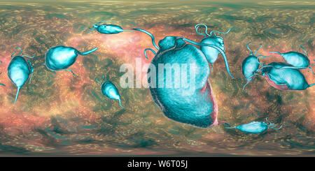 Trichomonas vaginalis, vue panoramique de 360 degrés, l'illustration de l'ordinateur. Trichomonas vaginalis est un parasite d'un micro-organisme qui est l'agent causal de la trichomonase. La trichomonase est une cause commune de la vaginite et est une maladie transmise sexuellement. Banque D'Images