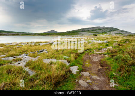 Paysage spectaculaire de la région du Burren Comté de Clare, Irlande. La roche calcaire karstique exposés à le Burren National Park. La nature irlandaise rugueuse. Banque D'Images