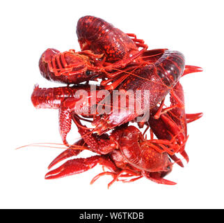 Poisson bouilli craw isolated on white Banque D'Images