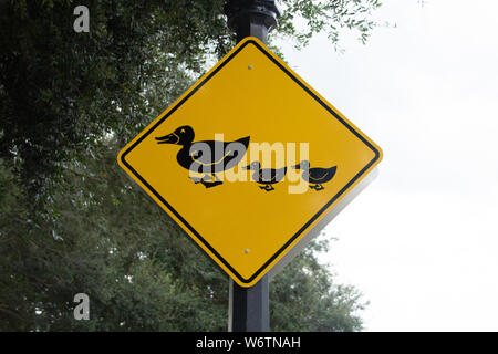 Famille canard jaune crossing sign Banque D'Images