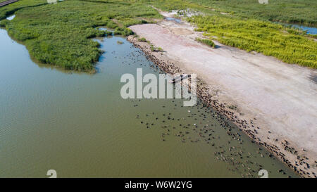 Beijing, Chine. 1er août 2019. Photo aérienne prise le 1 août 2019, spectacles cascades sur la rive de lac Chagan à Changchun, Jilin Province du nord-est de la Chine. Credit : Zhang Nan/Xinhua/Alamy Live News Banque D'Images