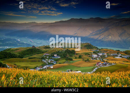 La vue aérienne de la célèbre et belle fleur hémérocalle soixante à Stone Mountain à Hualien Taiwan Banque D'Images